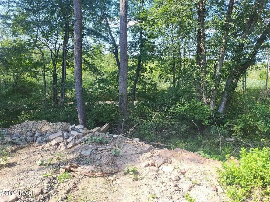 592 Mount Bethel Highway Photo 9