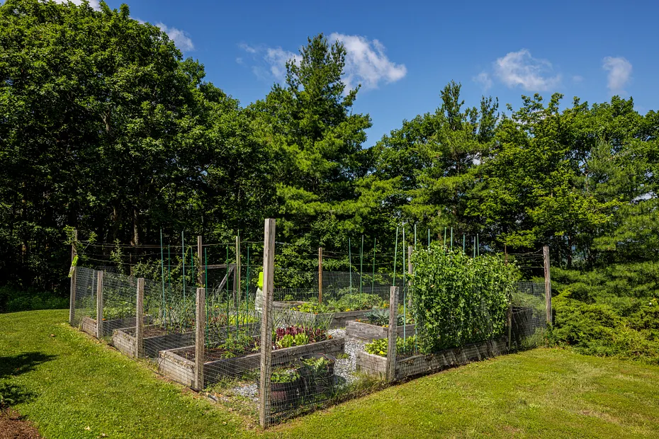 116 Ridge Road Photo 33