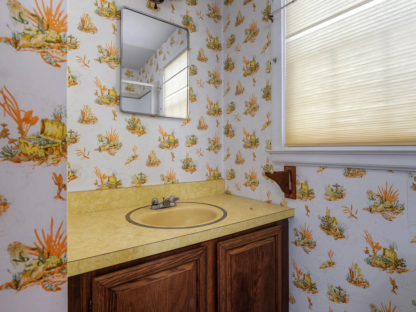 31 Pawson Road Photo 32