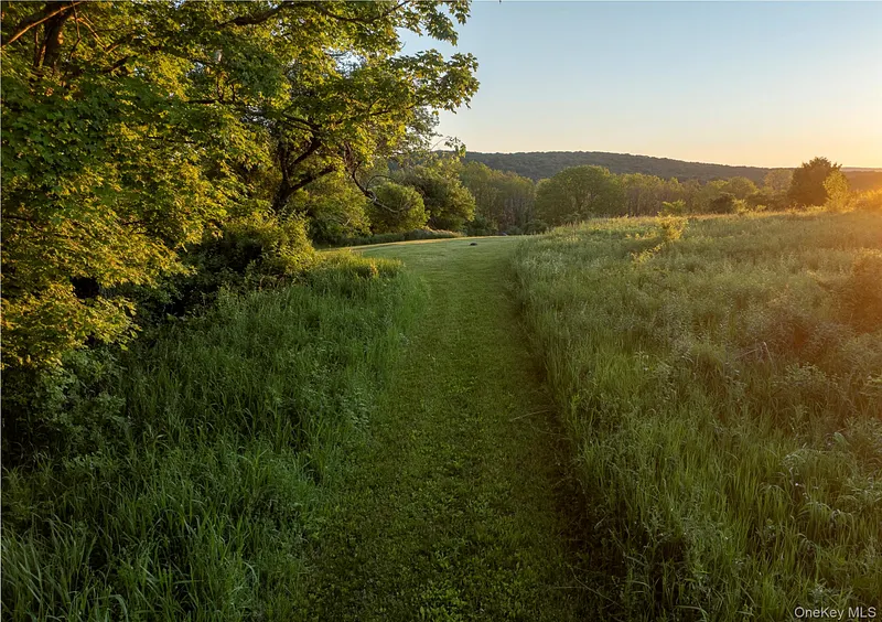 1504 Route 83 Photo 18