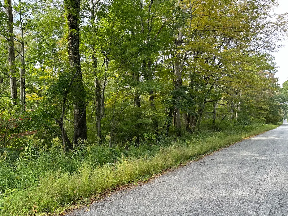 0 Lake Road Photo 3