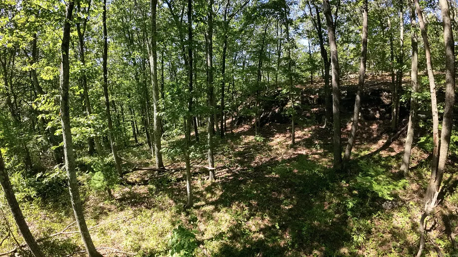 97 Nashville Road Photo 7