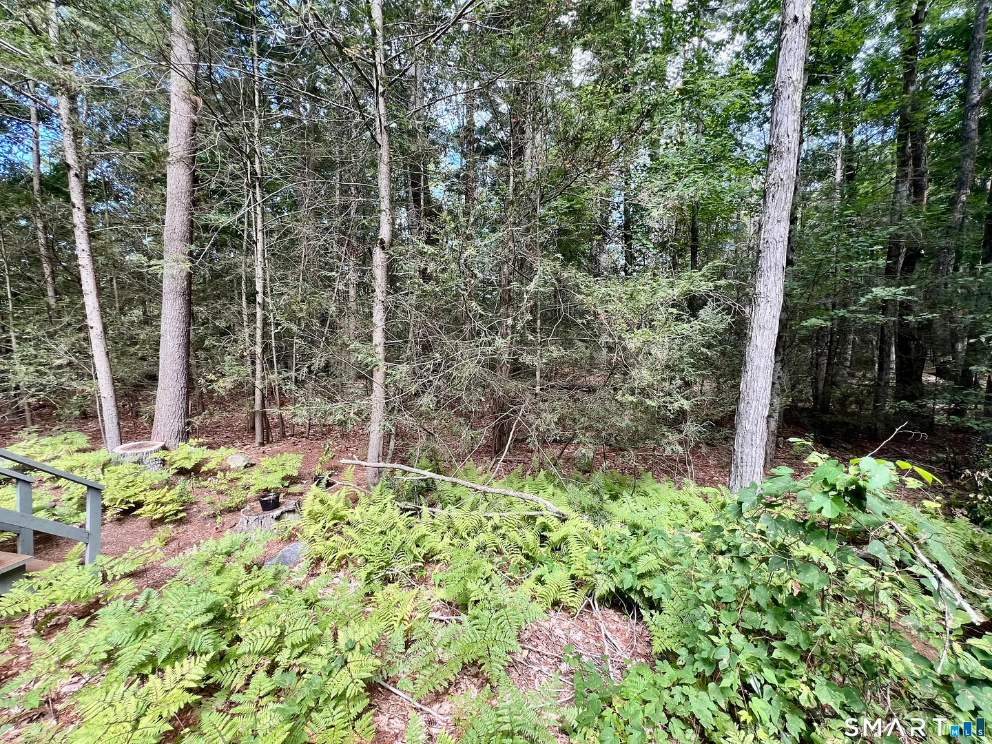 480 Evergreen Road Photo 23