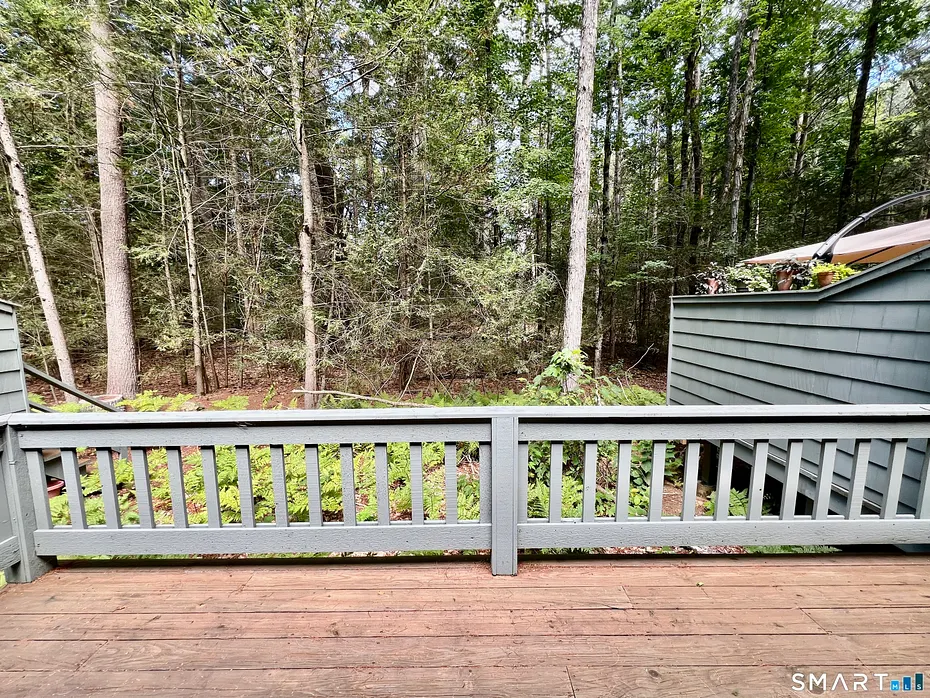 480 Evergreen Road Photo 22