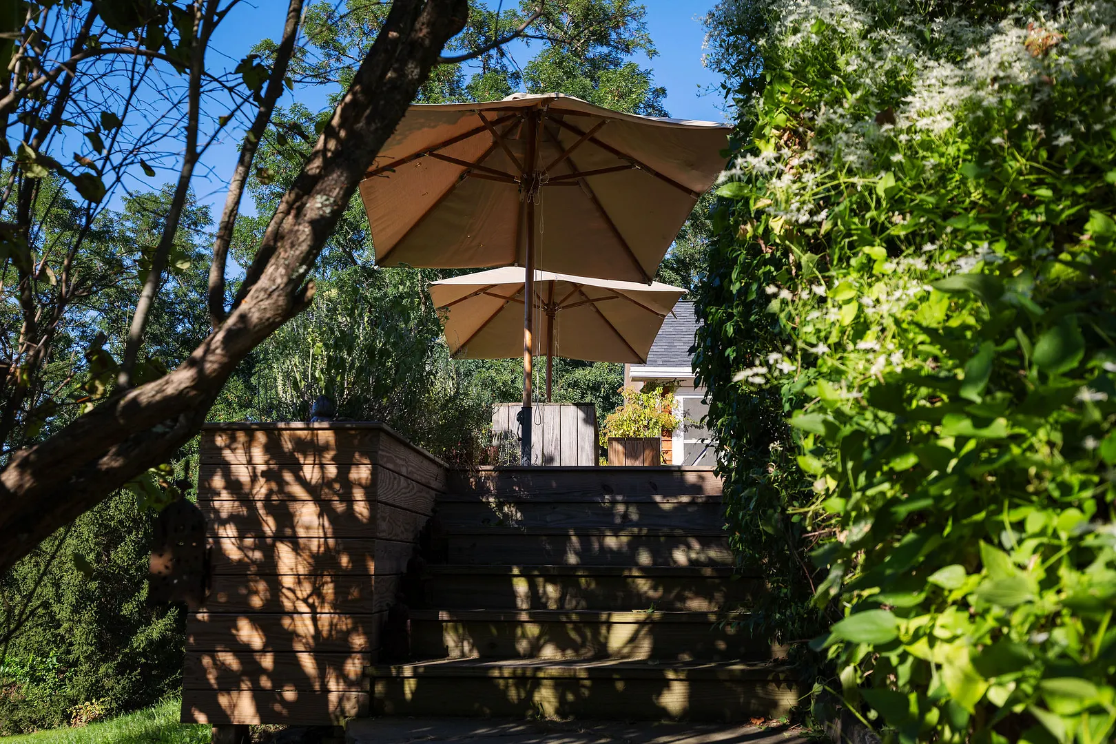 188 Mount Merino Road Photo 24