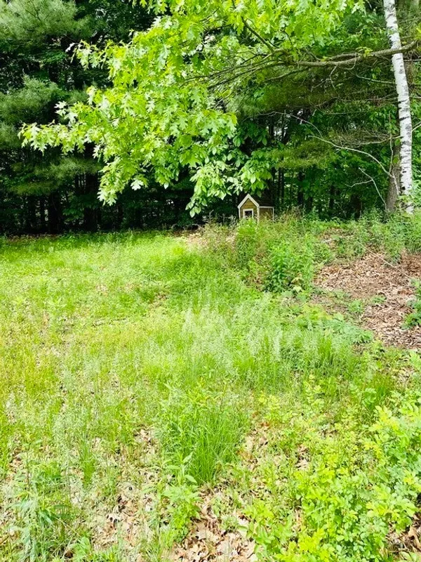 4 Hill Lane Photo 5
