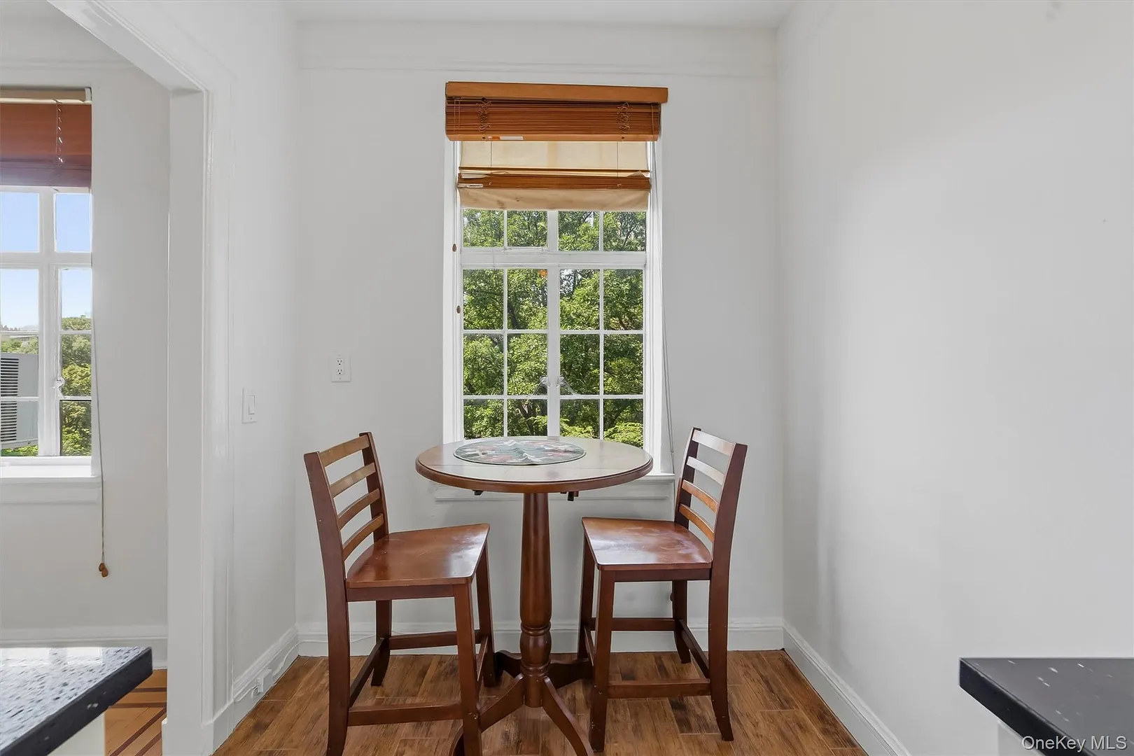 2 Westchester Avenue  #4N Photo 16