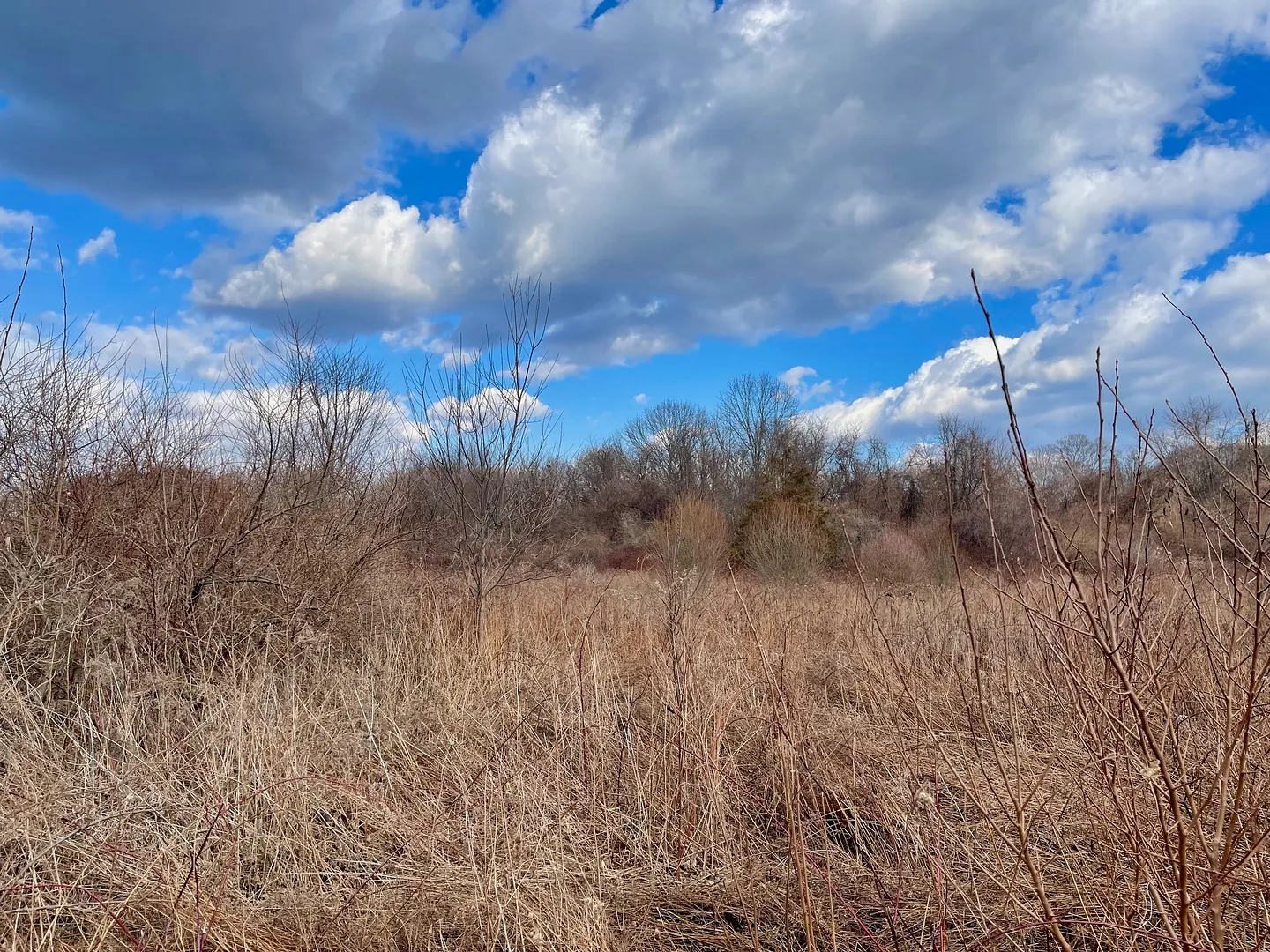 523 Voluntown Road Photo 2