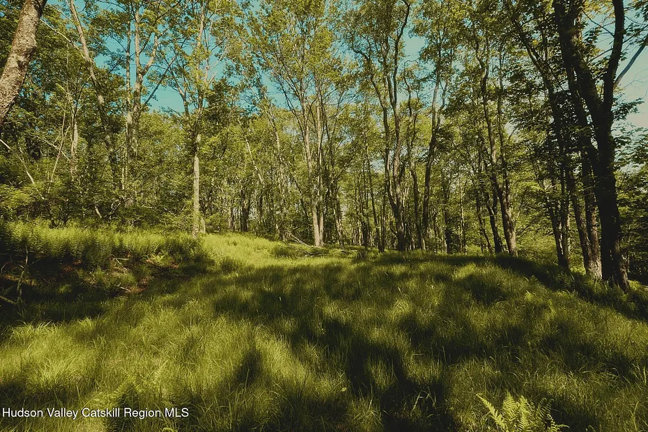 0 Benton Hollow Road Photo 4