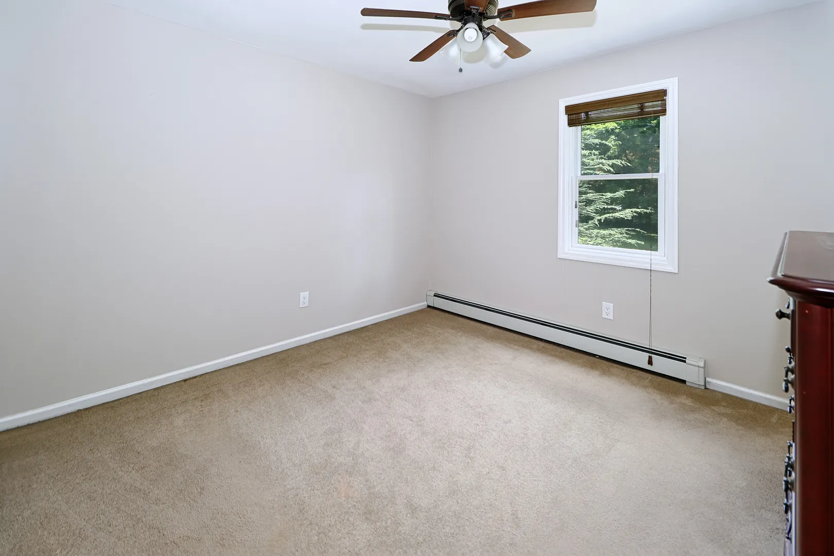 28 Brook Road Photo 22