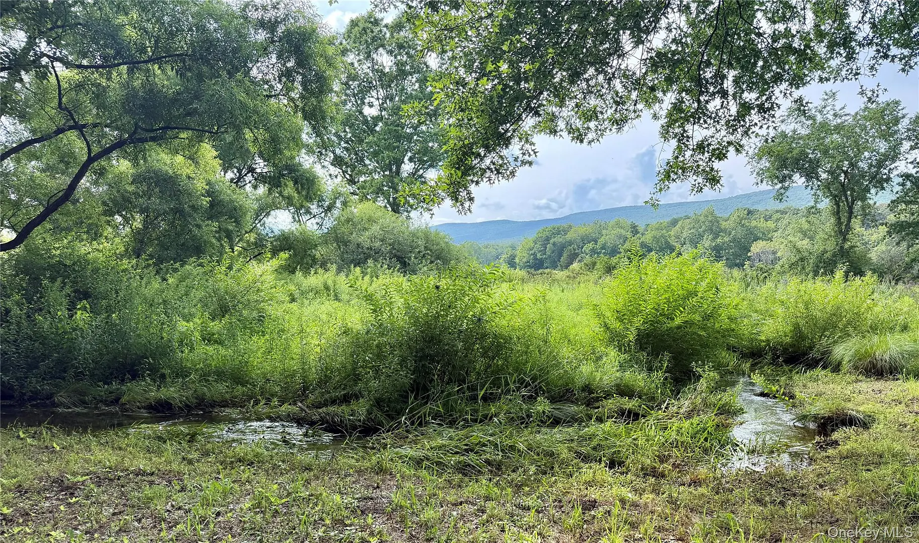 468 Decker Road Photo 32