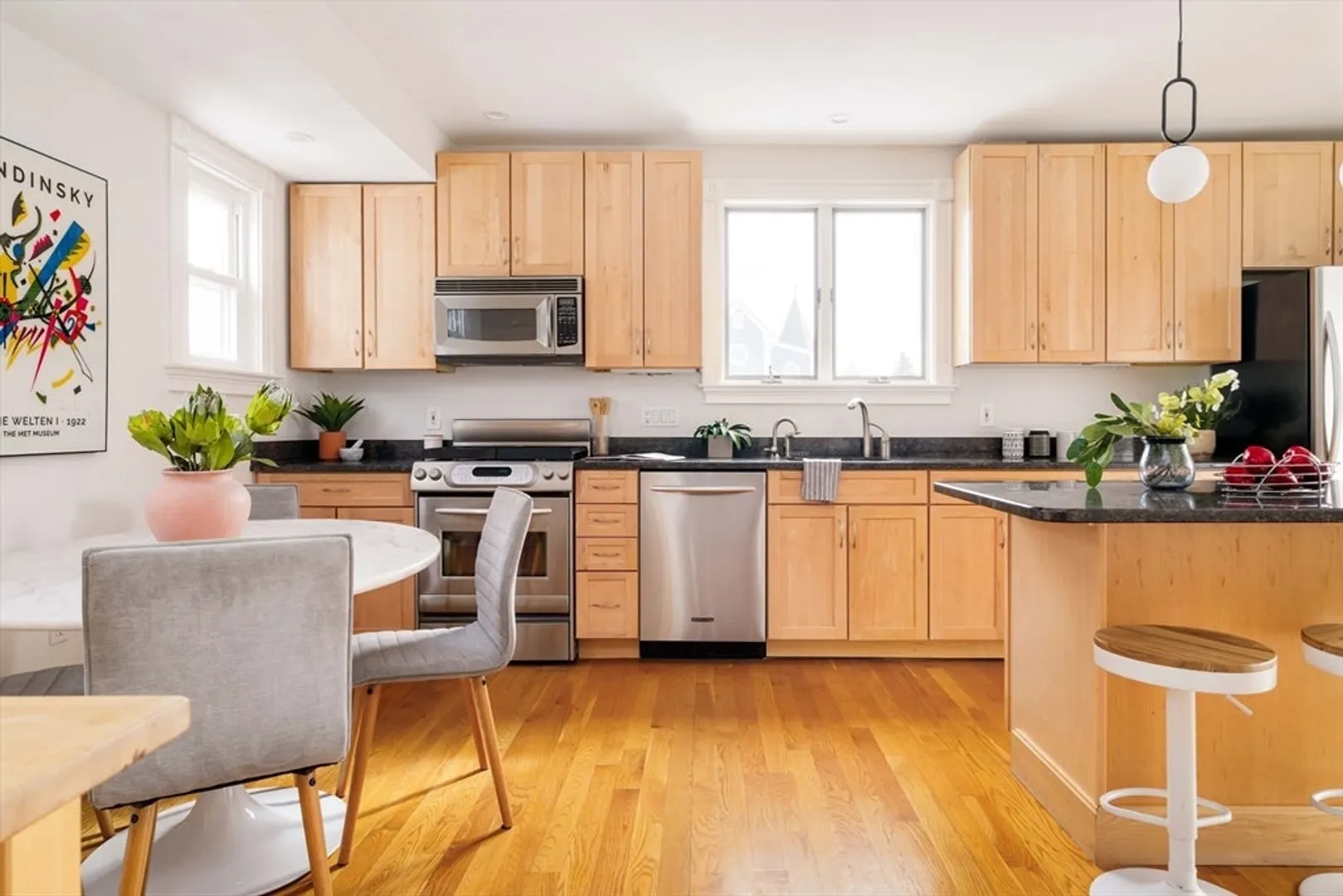 49 Dartmouth Street  #2 Photo 8