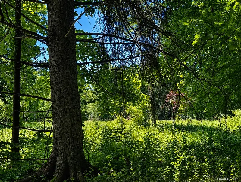 Route 55 Photo 8