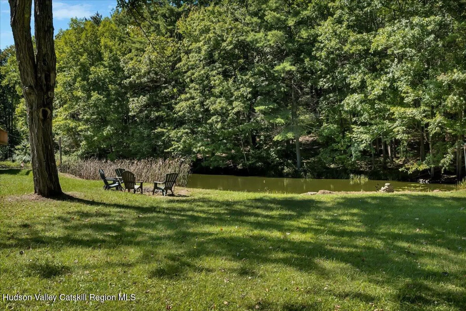 6196 New York 81 Photo 55