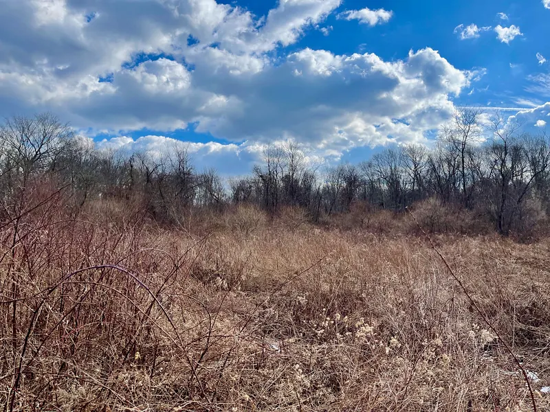 523 Voluntown Road Photo 1