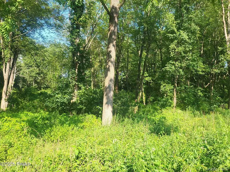 592 Mount Bethel Highway Photo 26