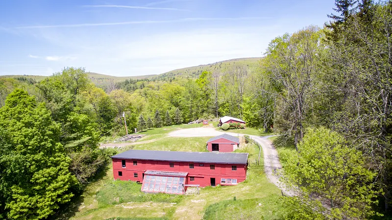 520 White Oaks Rd Photo 15