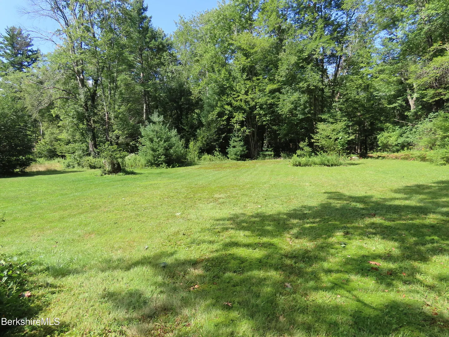 1303 River Rd Photo 4