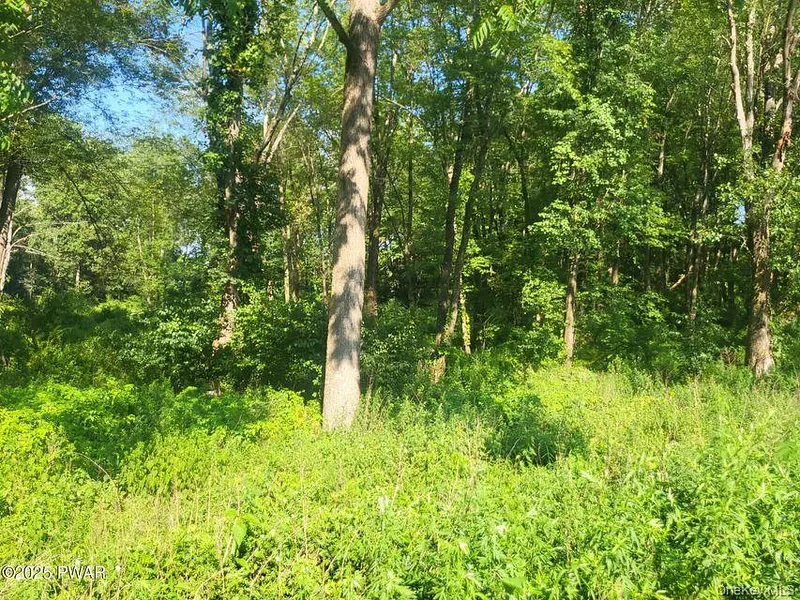 592 Mount Bethel Highway Photo 25