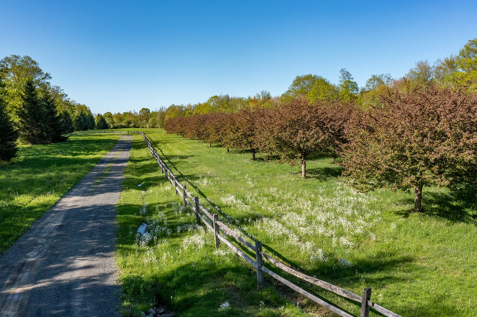 158 Popple Swamp Road Photo 5