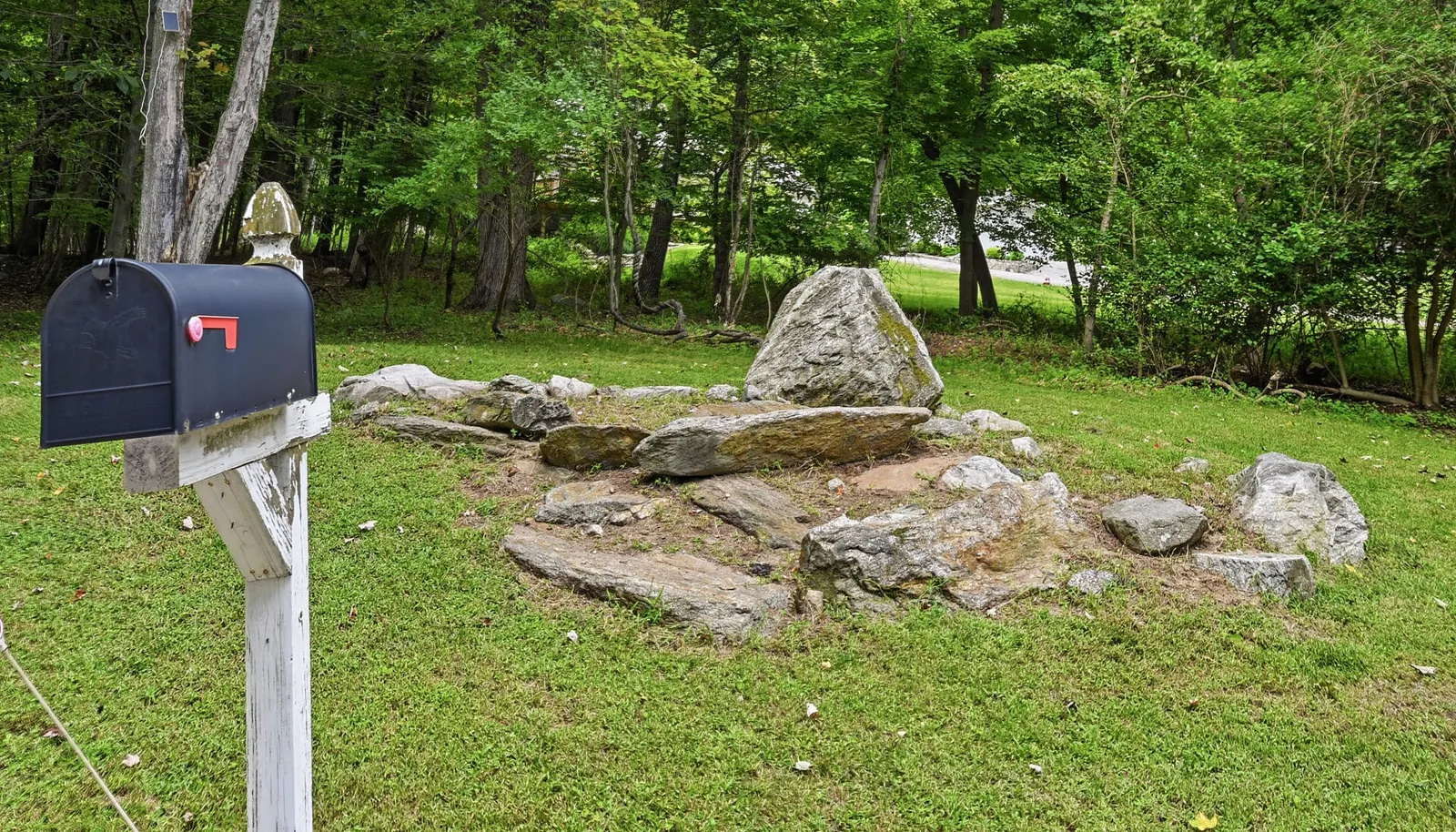 Image 19