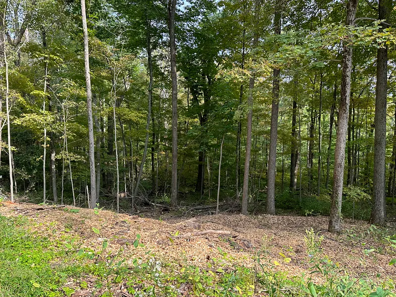 0 Lake Road Photo 1