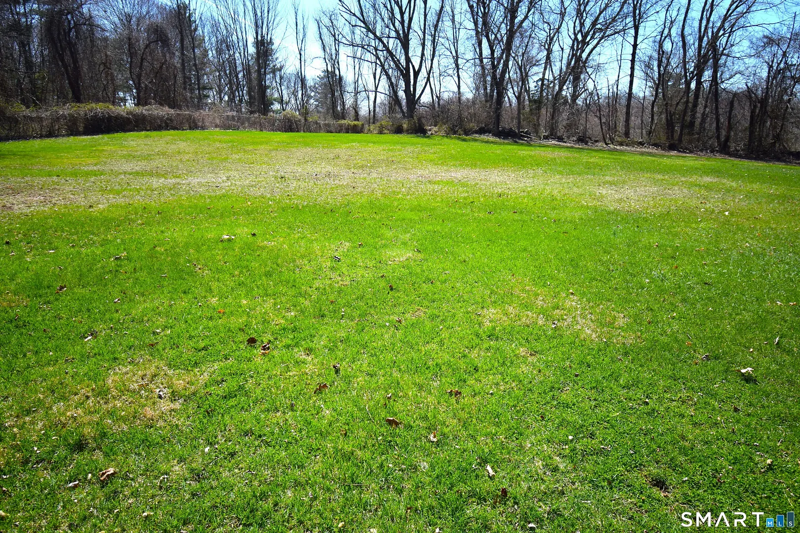 273 Horse Pond Road Photo 31