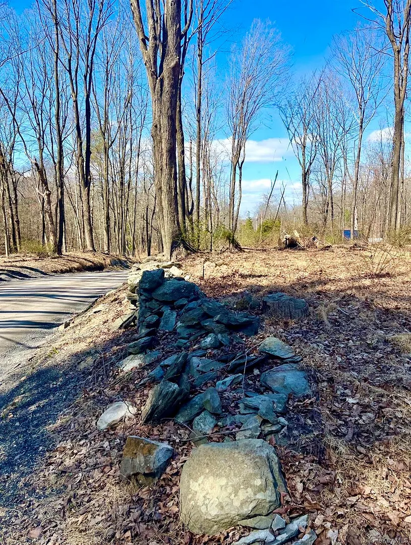 418 Browns Pond Road Photo 1