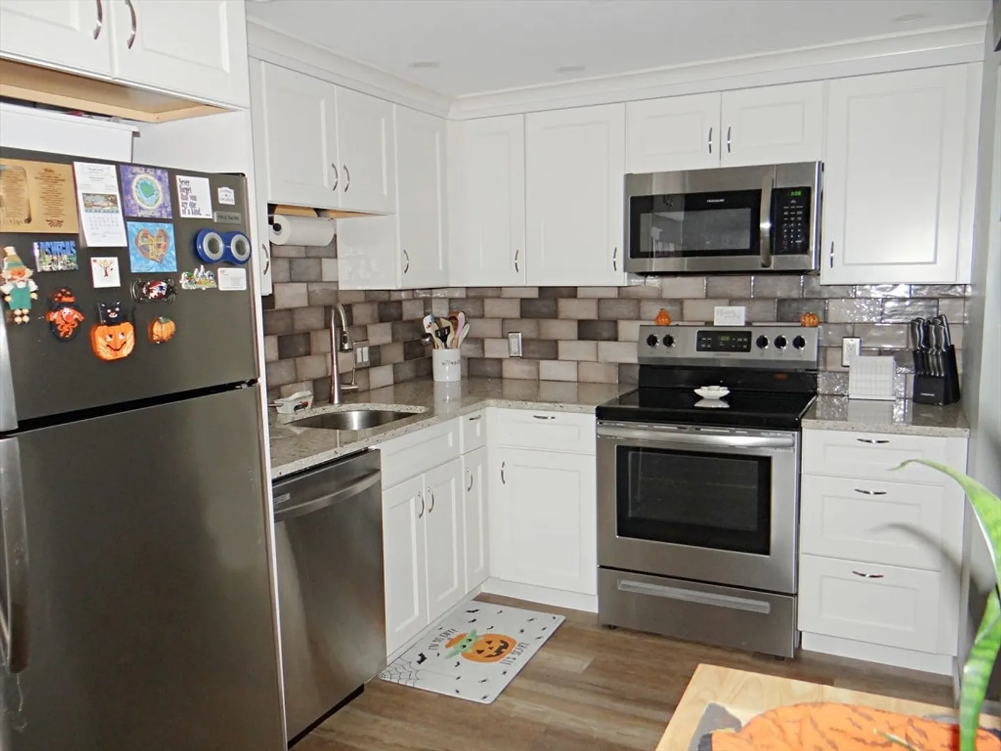 25 Marshall Ave Photo 3
