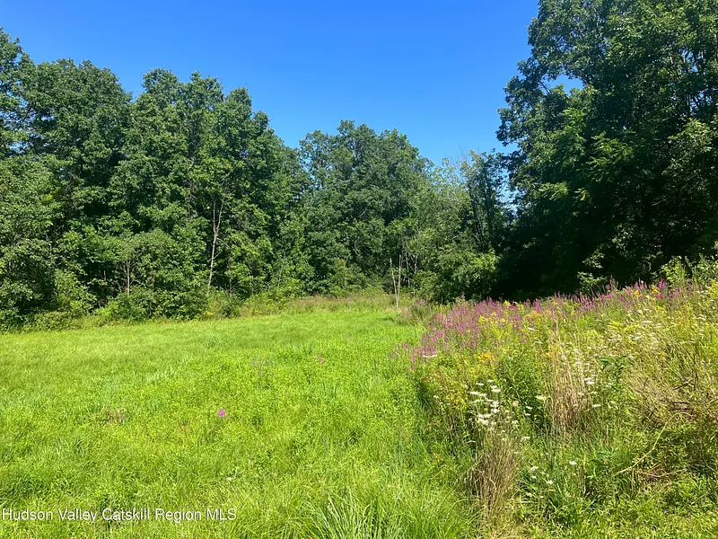 353 Vosenkill Road Photo 20