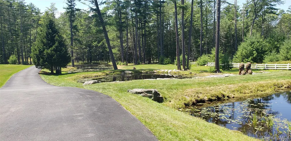 603 Katrina Falls Road Photo 43
