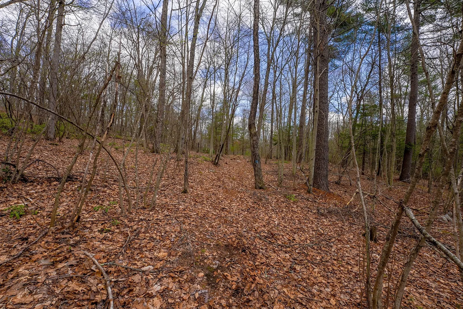 291 Fomer Road Photo 35