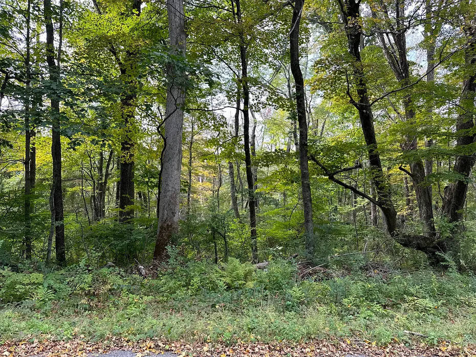 0 Lake Road Photo 4