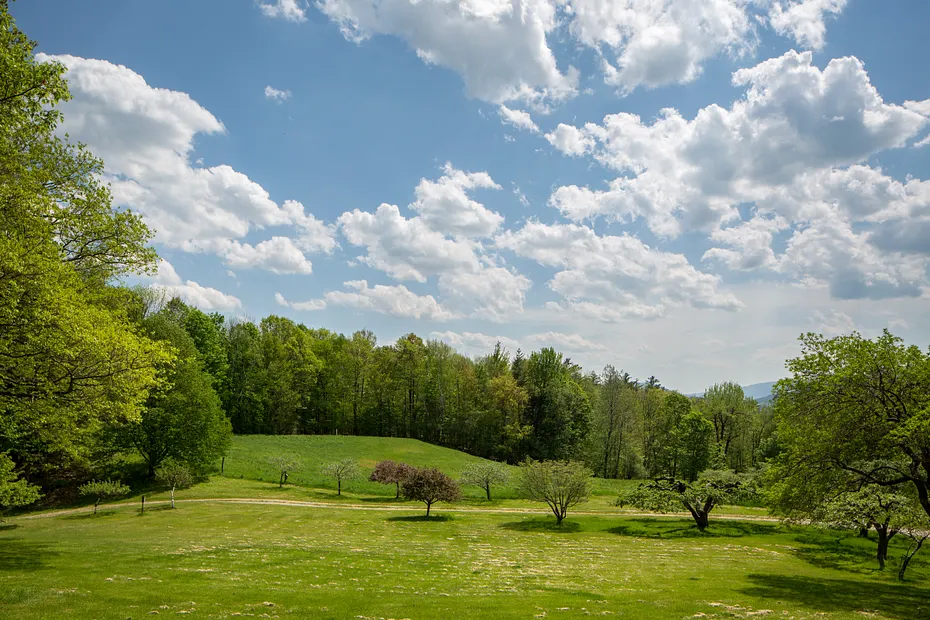 520 White Oaks Rd Photo 17