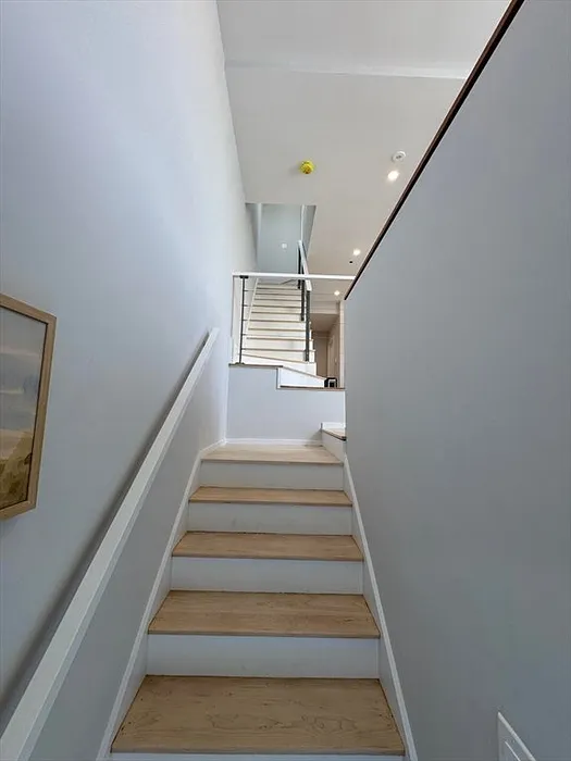 6 Valentine St #6 Photo 39