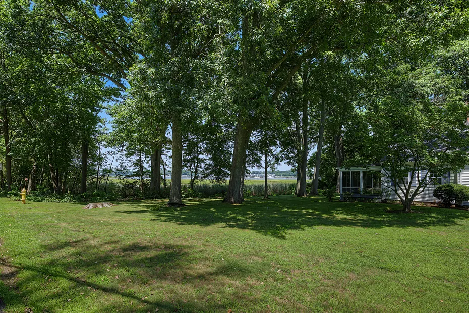 31 Pawson Road Photo 48