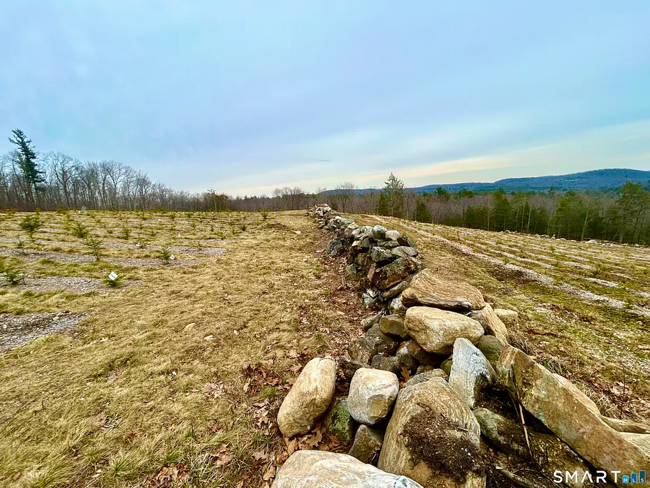 00 Prock Hill Road Photo 21