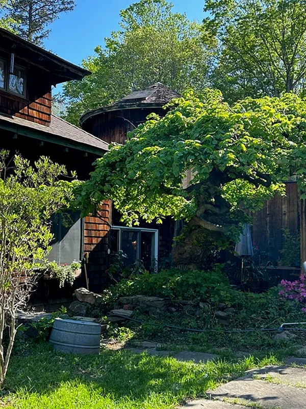 49 South Street Photo 32