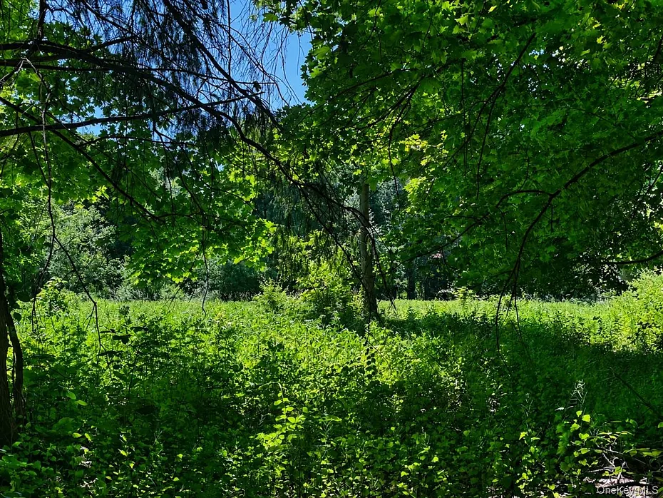 Route 55 Photo 9