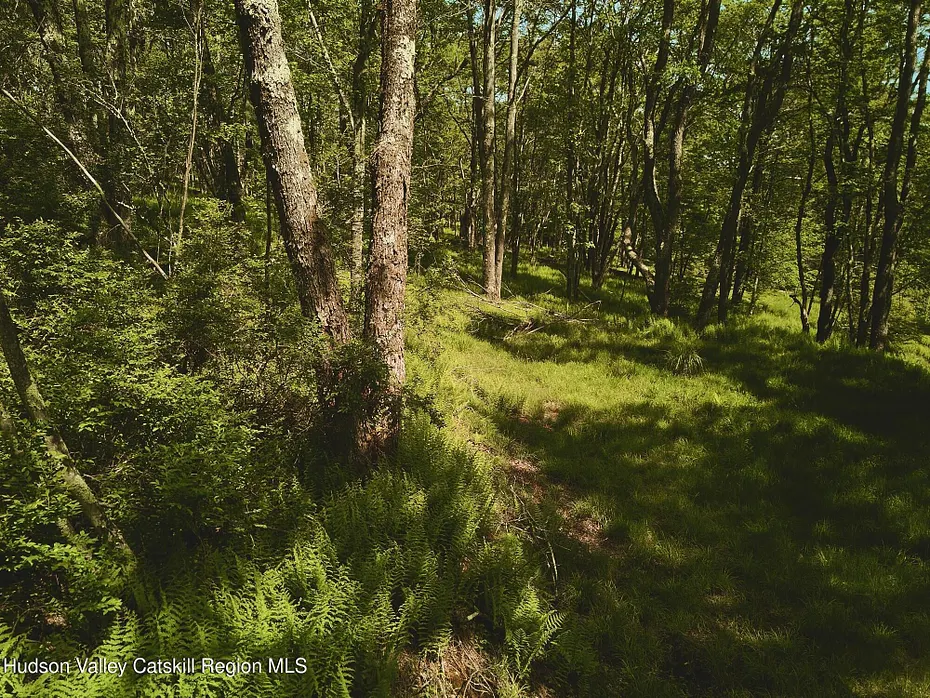 0 Benton Hollow Road Photo 5