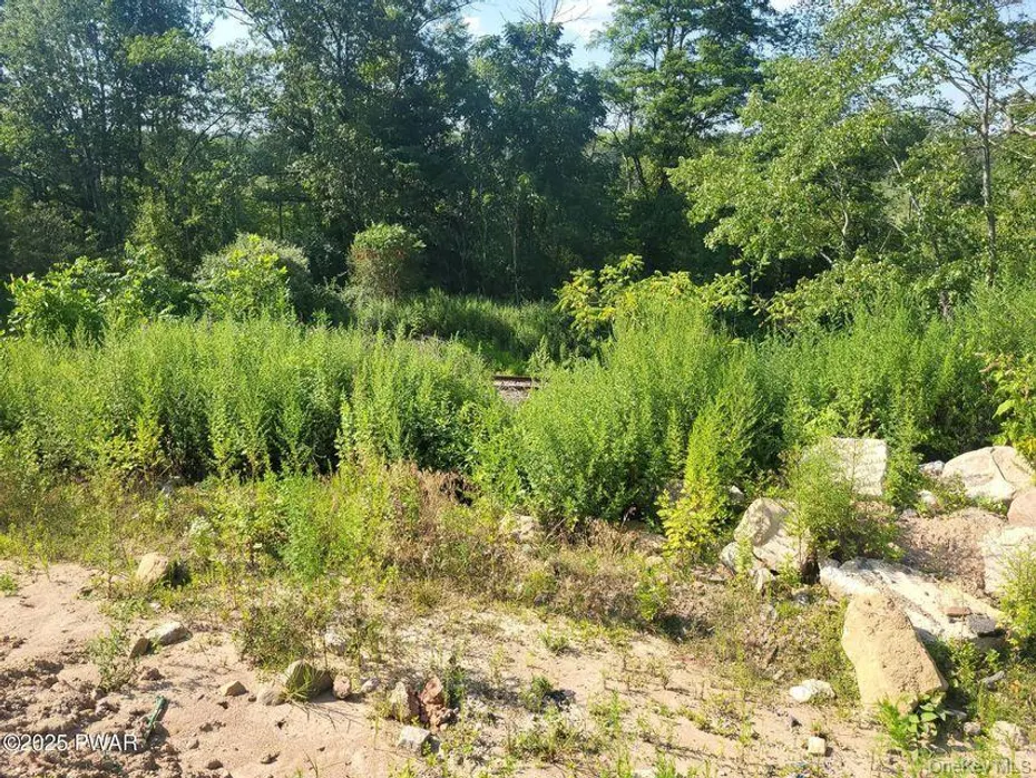592 Mount Bethel Highway Photo 14