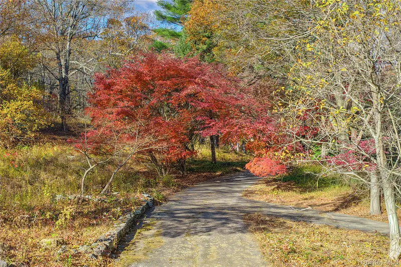 115 Old Roaring Brook Road Photo 24