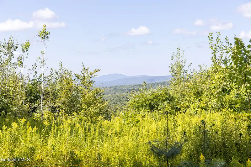 0 Mount Hunger Rd Photo 2
