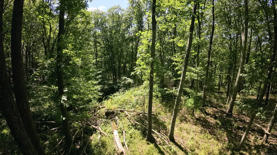 97 Nashville Road Photo 6