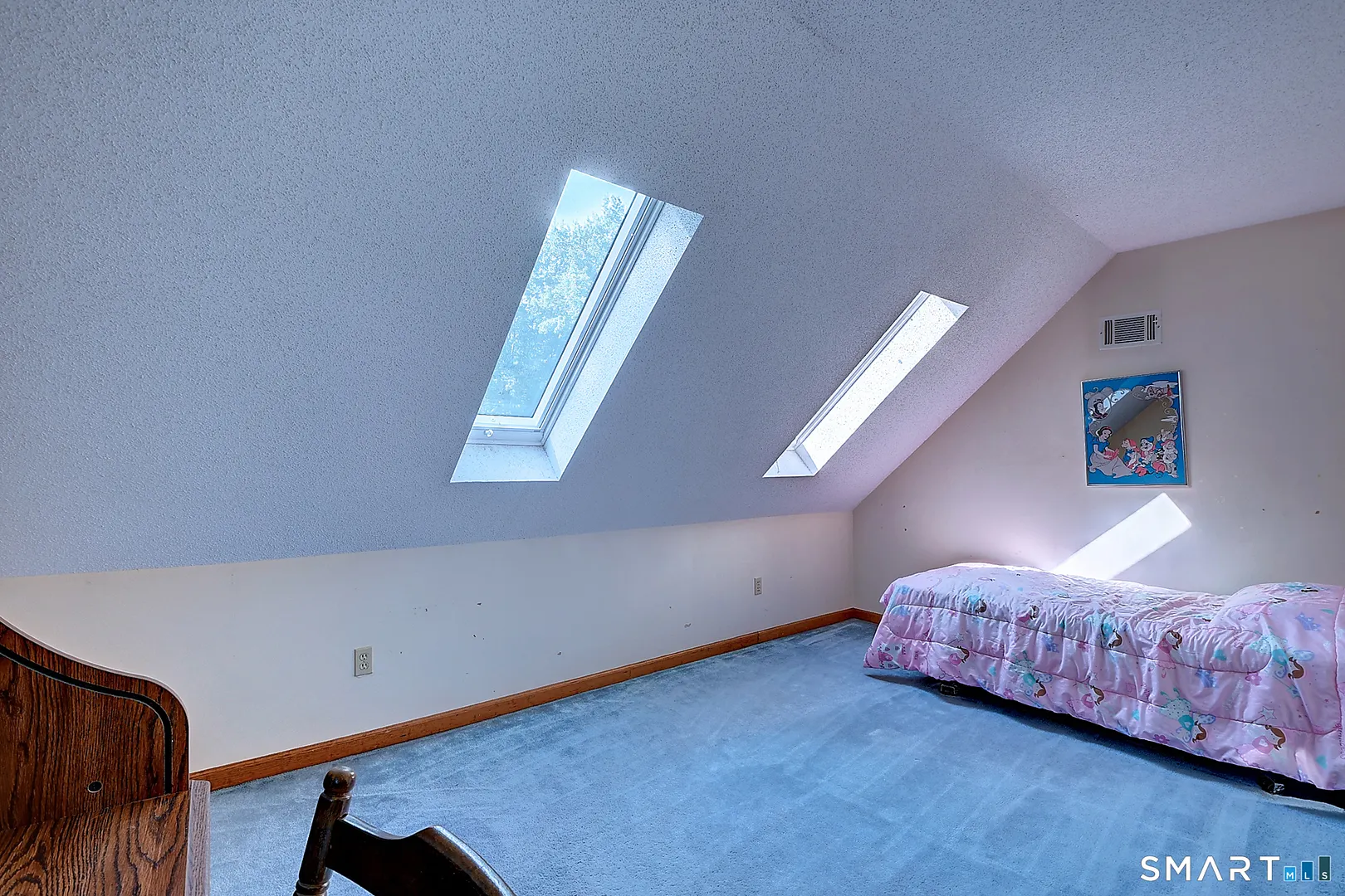 6 Smithbrook Terrace Photo 32