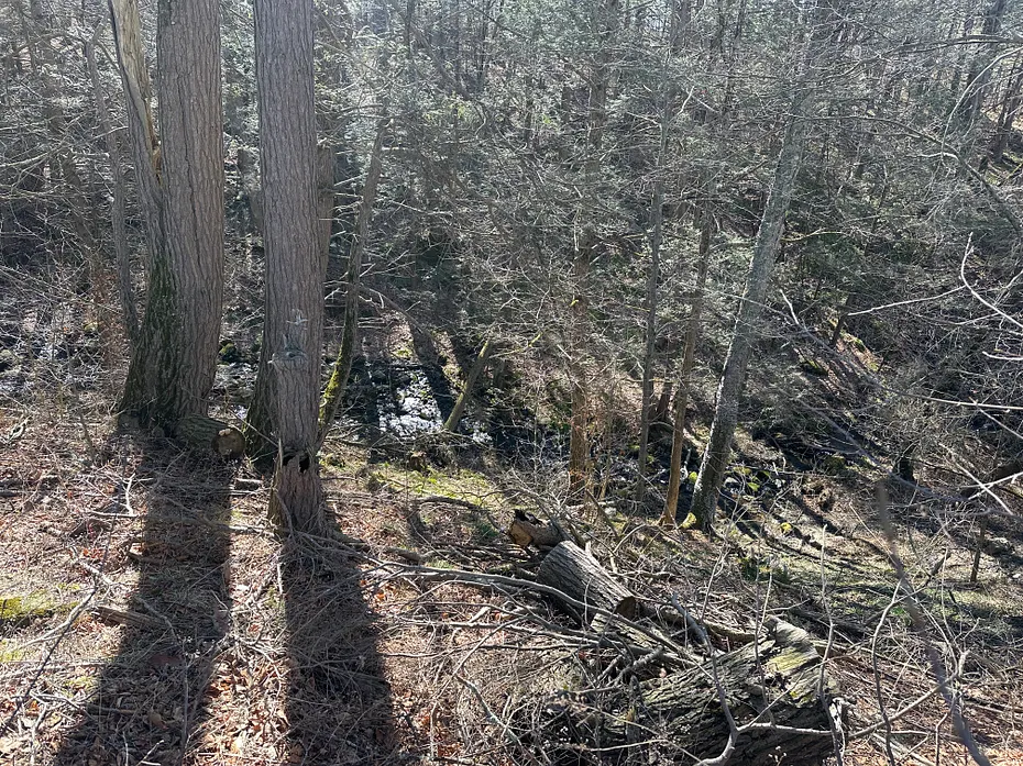 0 Newcomb Road Photo 8
