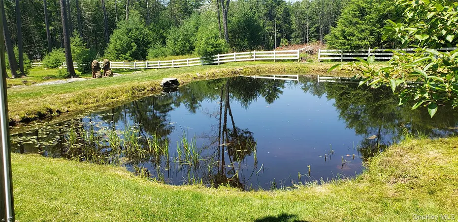 603 Katrina Falls Road Photo 4