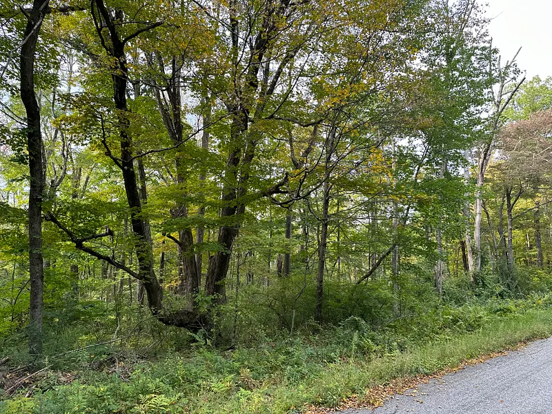 0 Lake Road Photo 5