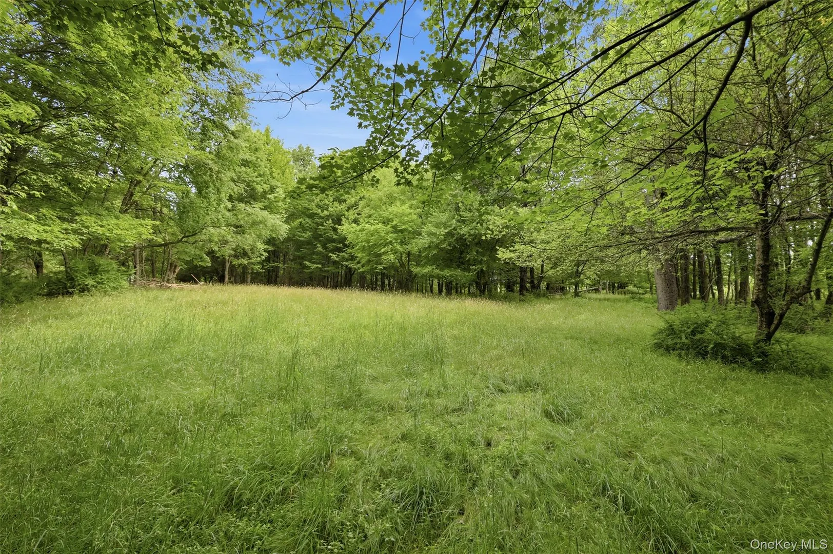 115 Cold Spring Road Photo 28