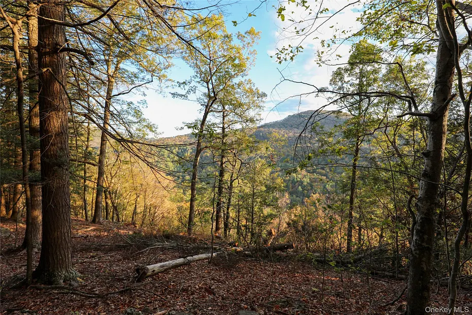 Tbd Ny-28 Route Photo 6